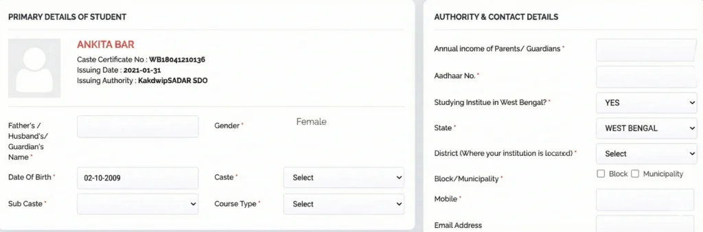 oasis scholarship details